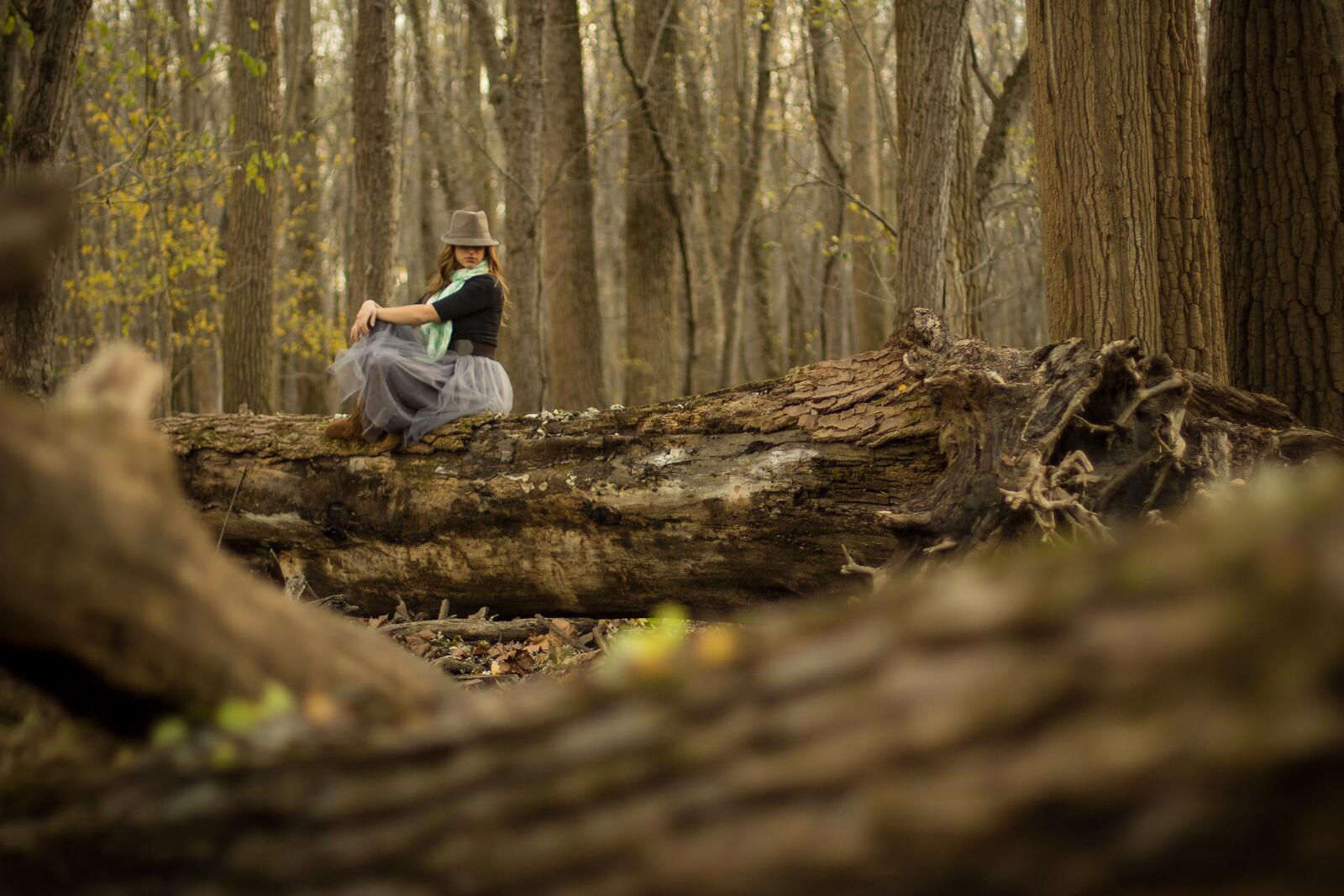 免费照片戴帽子的女孩在树林中摆姿势