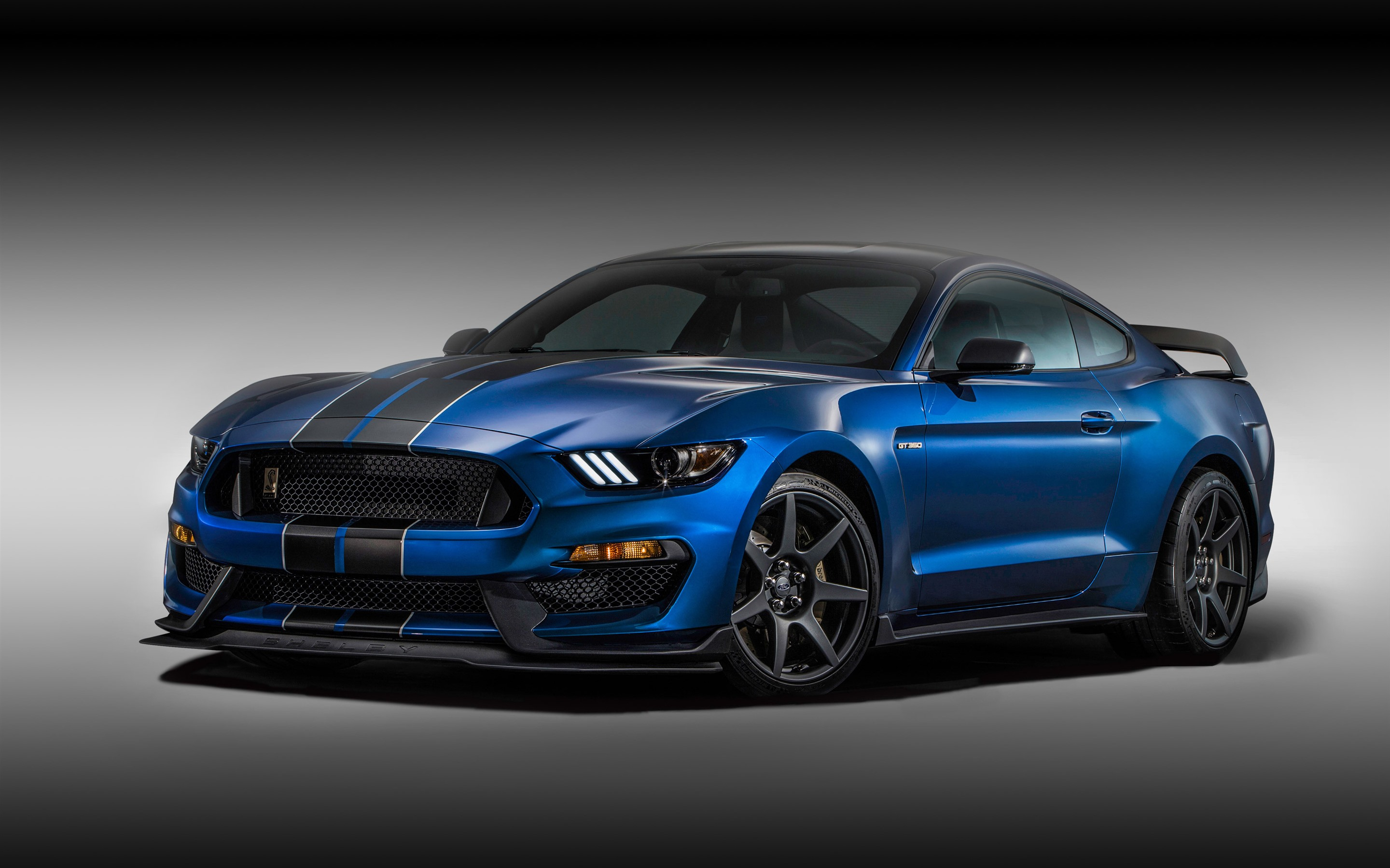 Free photo Blue ford mustang gt350r with black stripes on hood