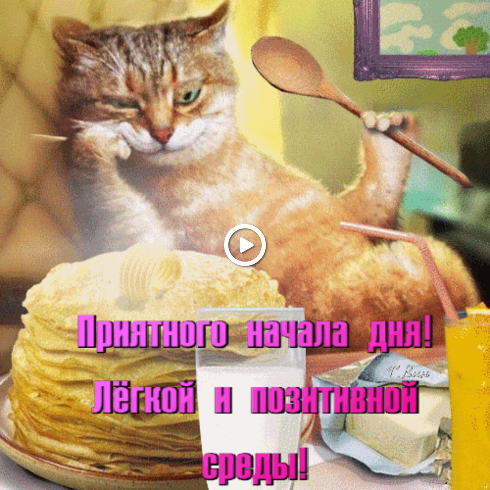 一张以早上好 猫 煎饼为主题的明信片