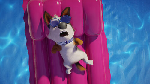 A cartoon doggie swimming in the pool