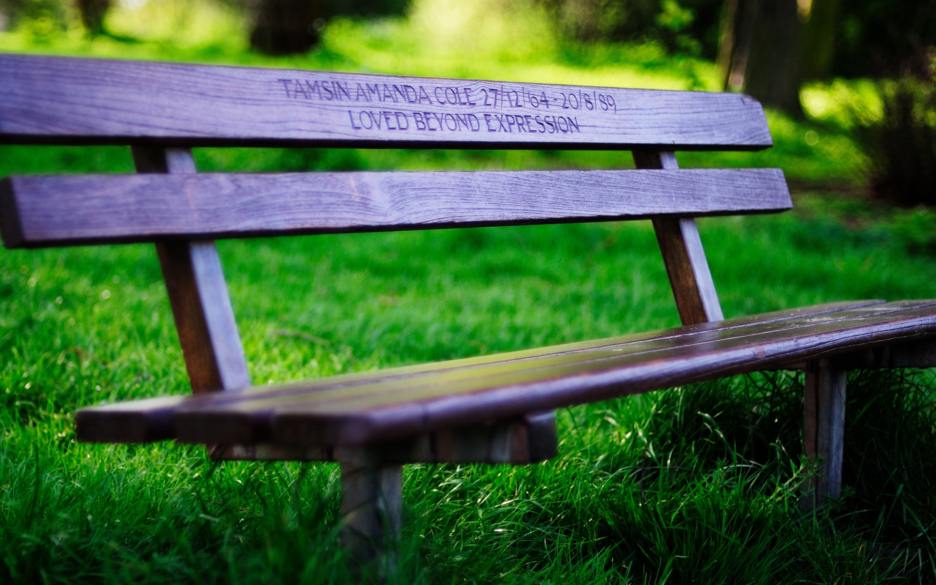 Free photo Wooden bench in the park