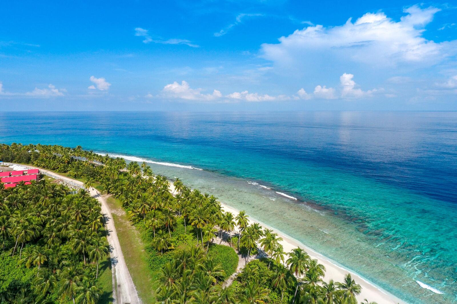 Бесплатное фото Красивый пляж с пальмами сфотографированный с квадрокоптера