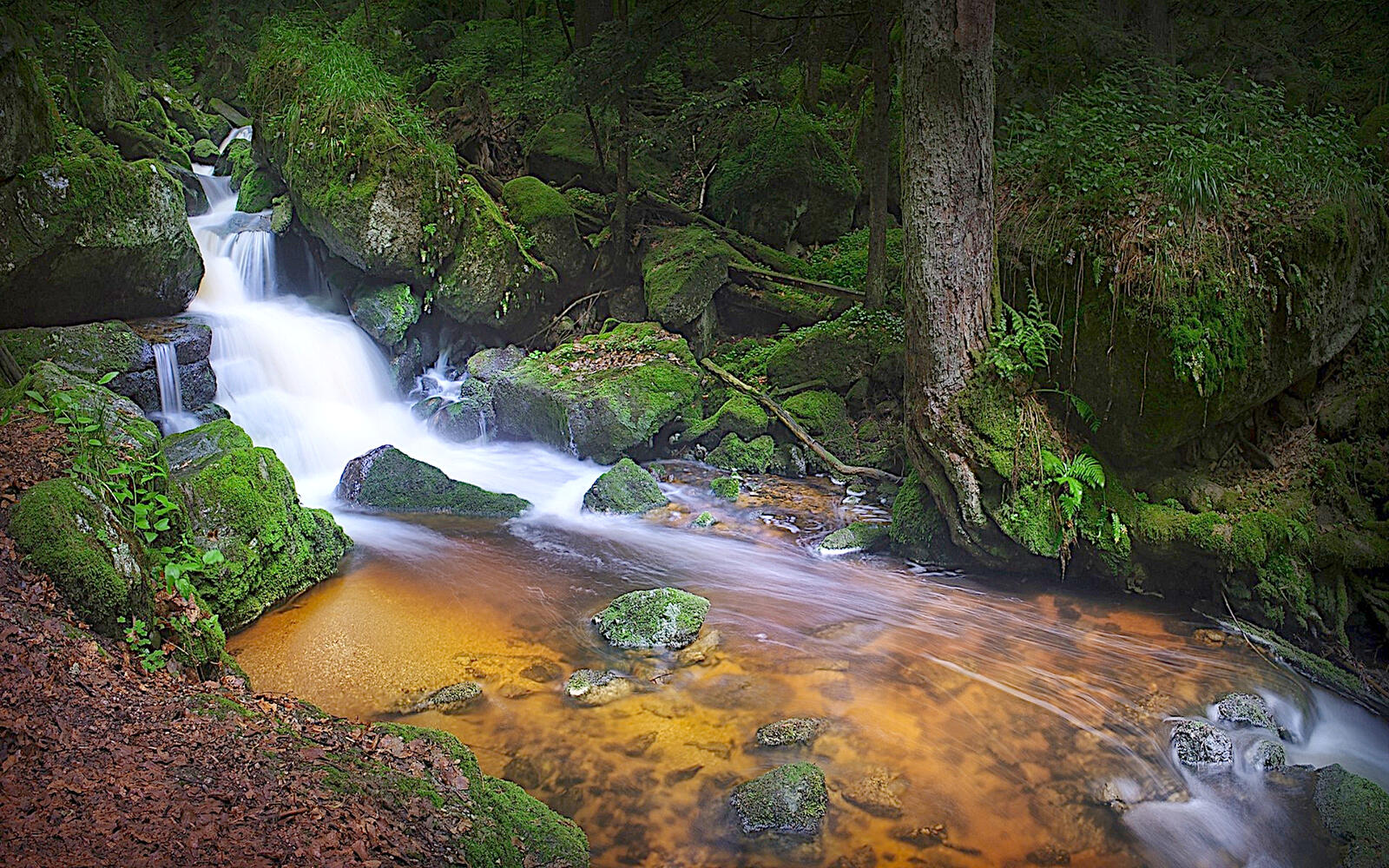免费照片青苔覆盖的岩石间有一条小溪