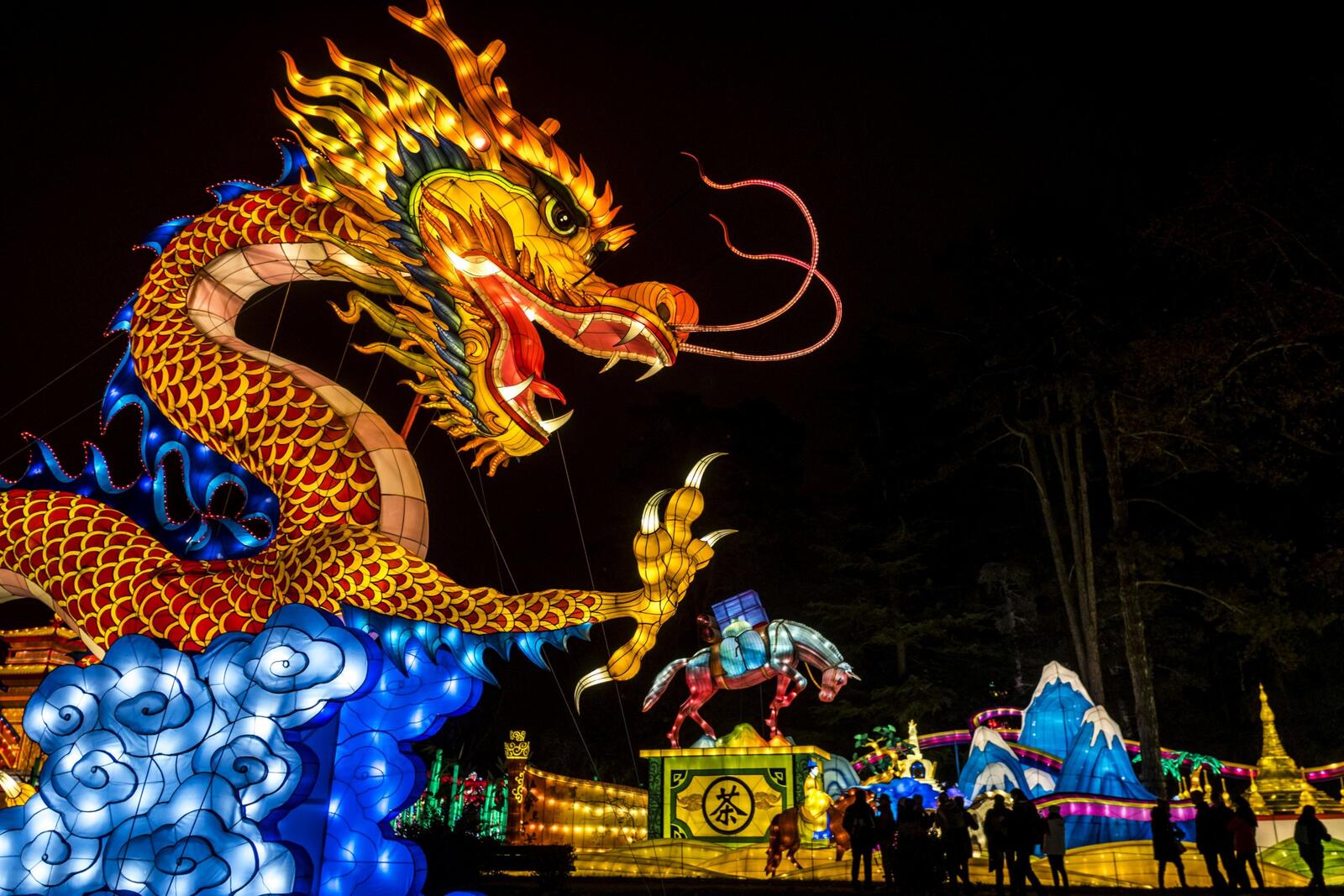 Free photo A glowing dragon in a night park