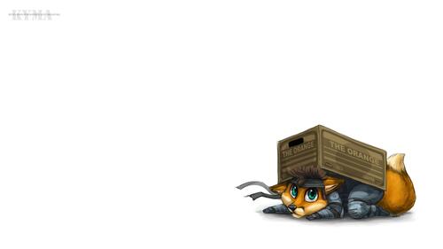 Лиса спряталась под коробку