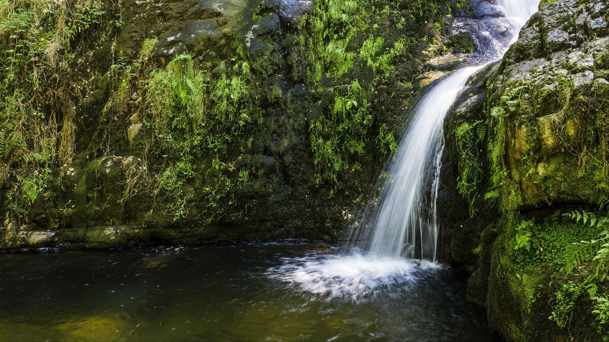 A waterfall from a moss-covered cliff