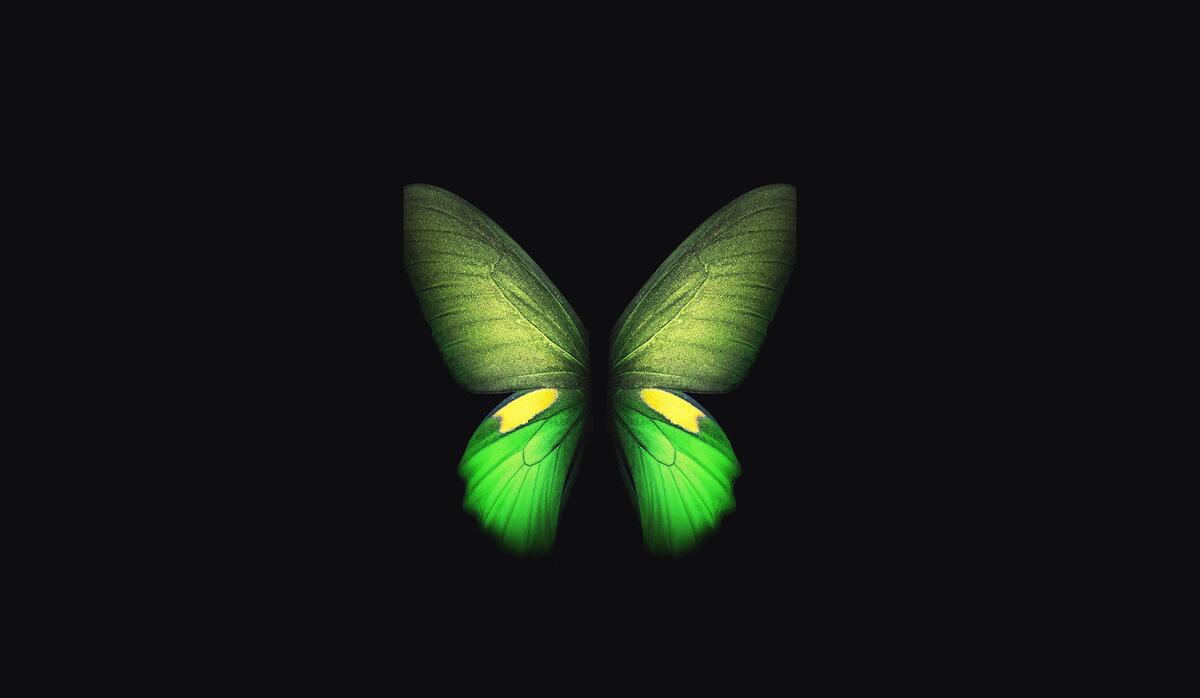 Зеленая абстрактная бабочка для заставки на телефон