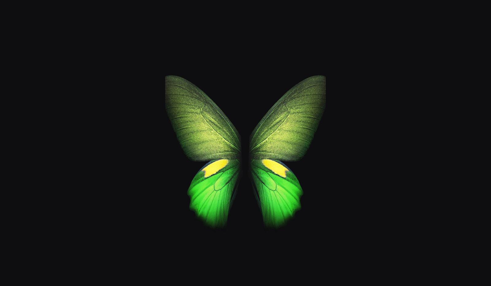 Бесплатное фото Зеленая абстрактная бабочка для заставки на телефон