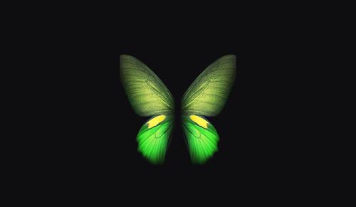 Green abstract butterfly for your phone screensaver