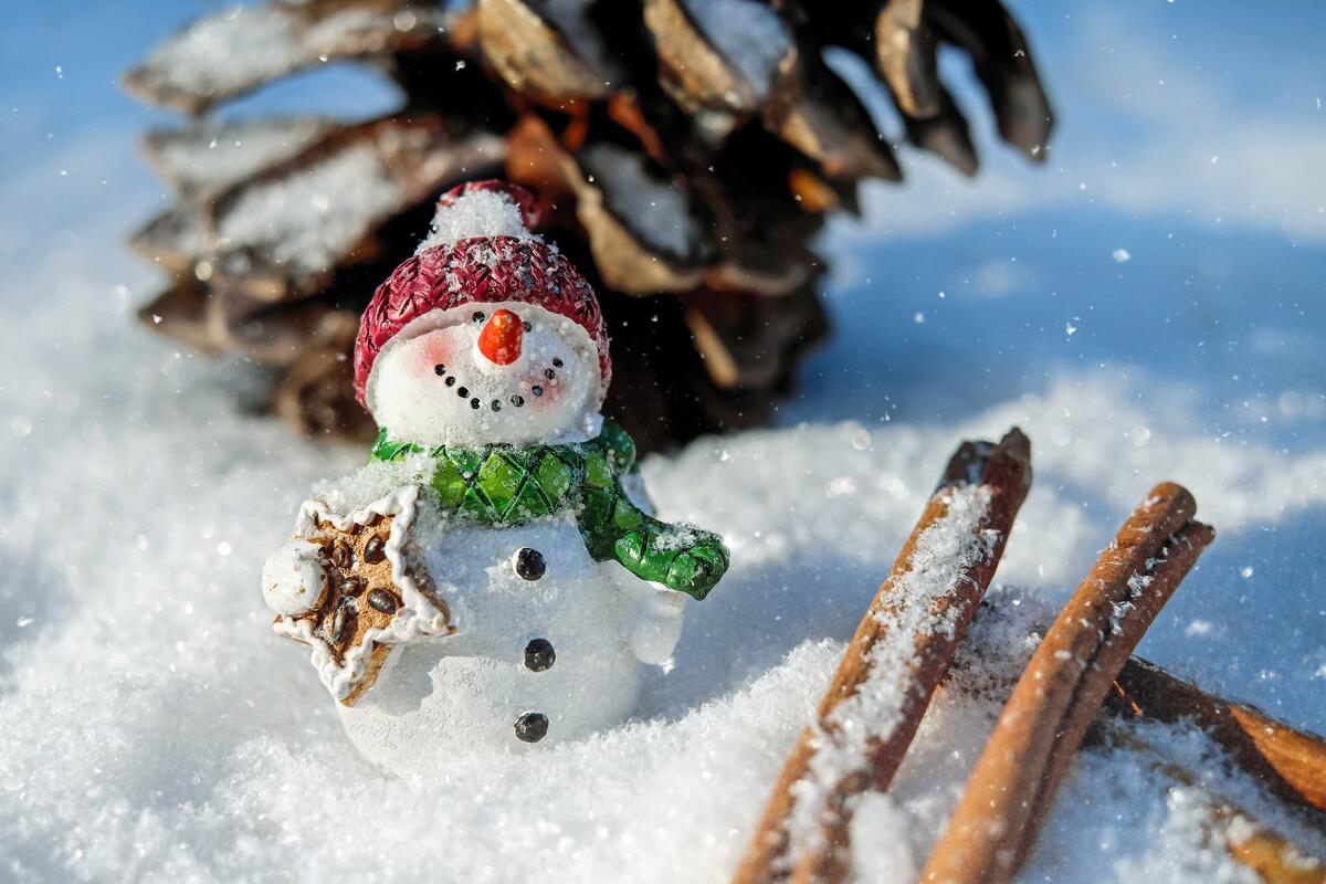 一张玩具雪人和肉桂棒的照片