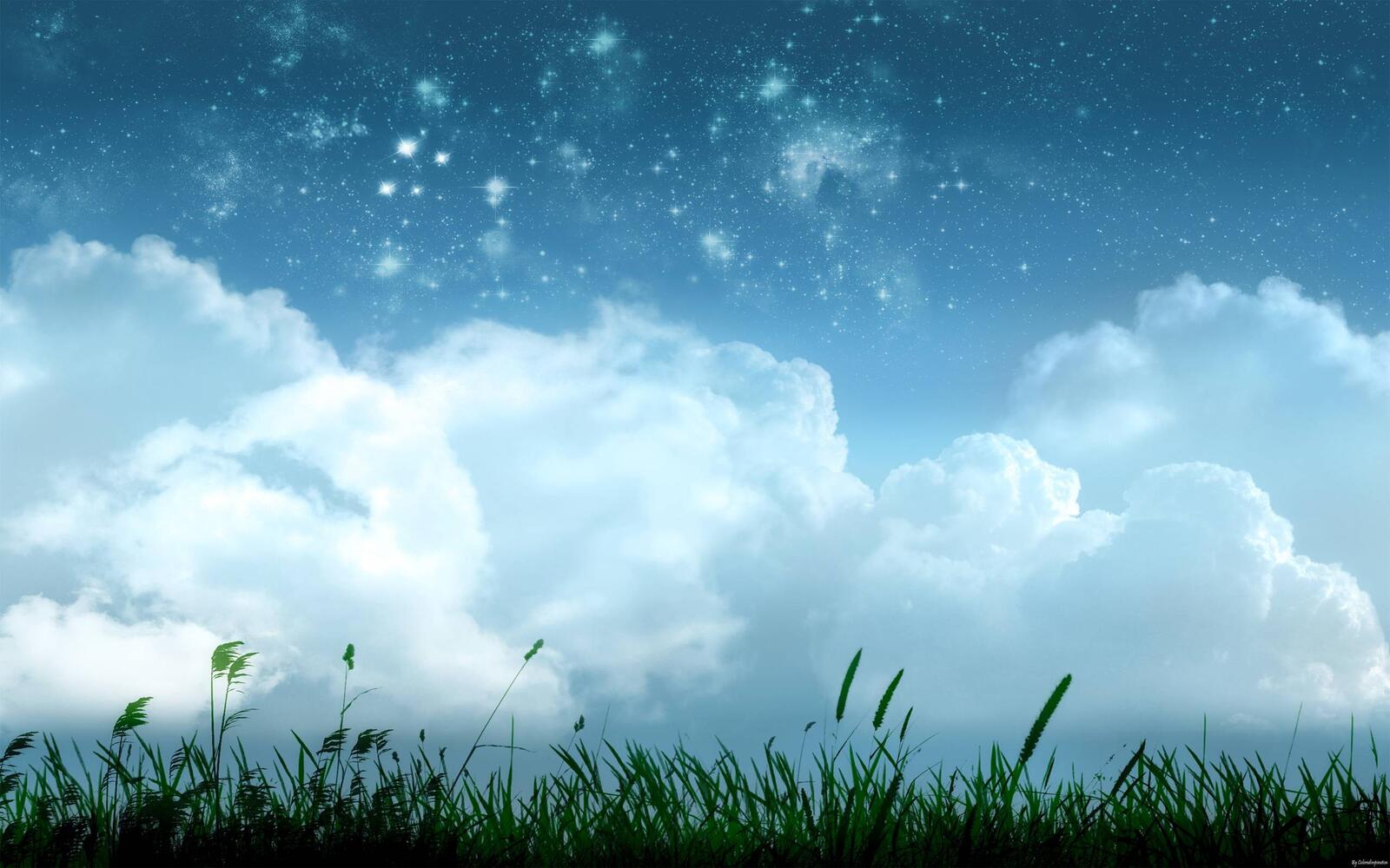 Бесплатное фото Трава на фоне облачного неба