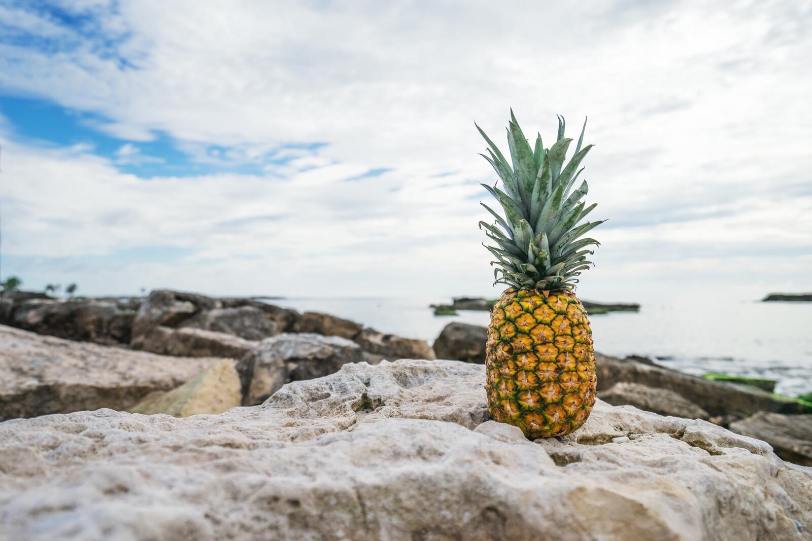 Free photo Pineapple on the seashore