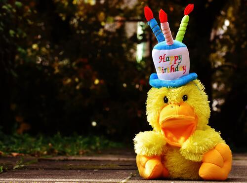 A stuffed duckling for a birthday party
