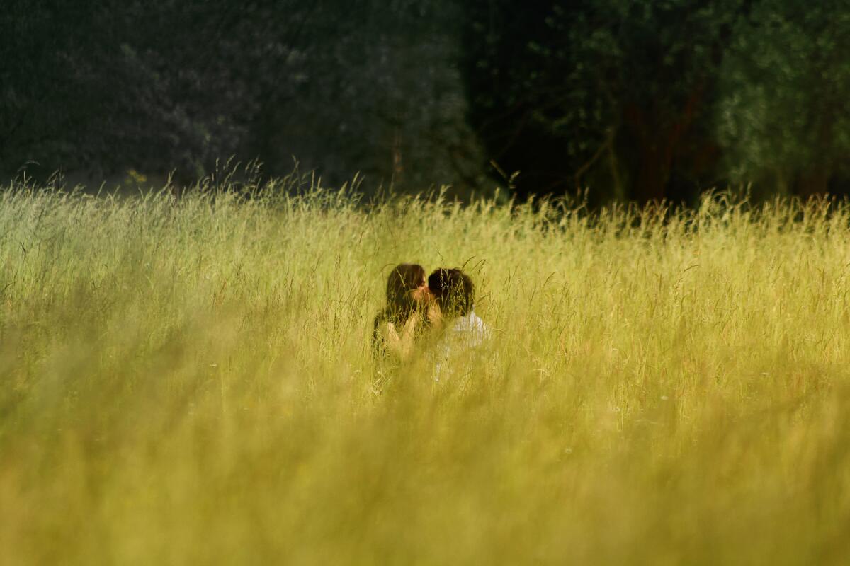 Влюбленная пара спряталась в траве