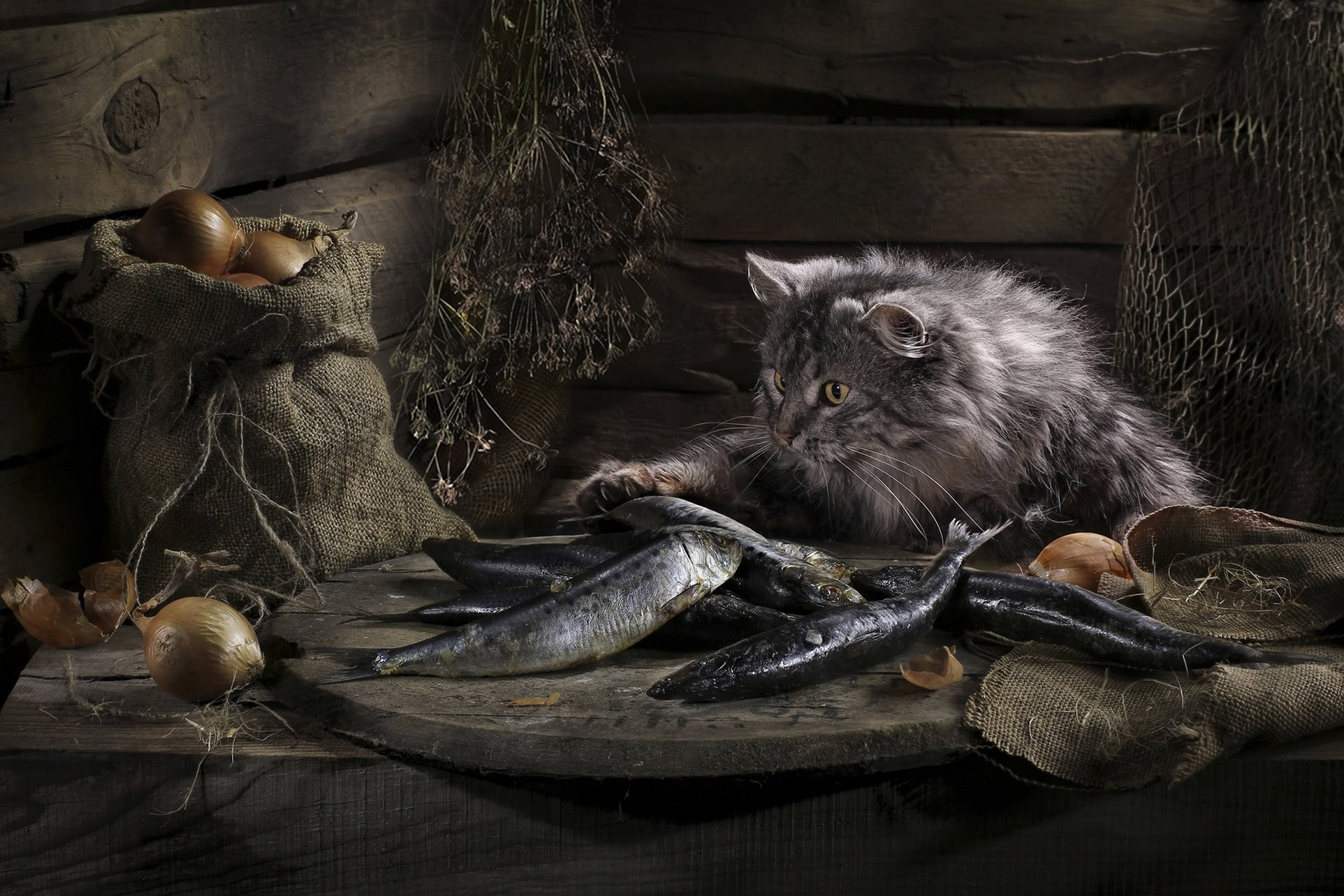 Пушистый серый кот с сырой рыбой