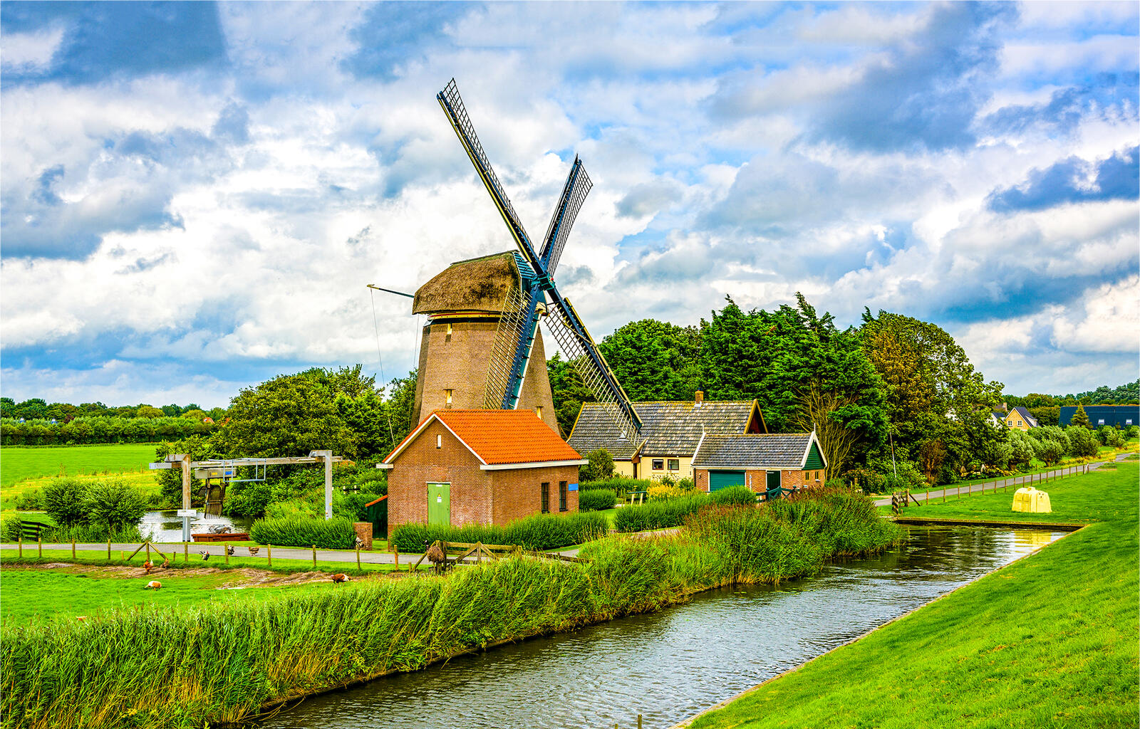 免费照片荷兰的风车