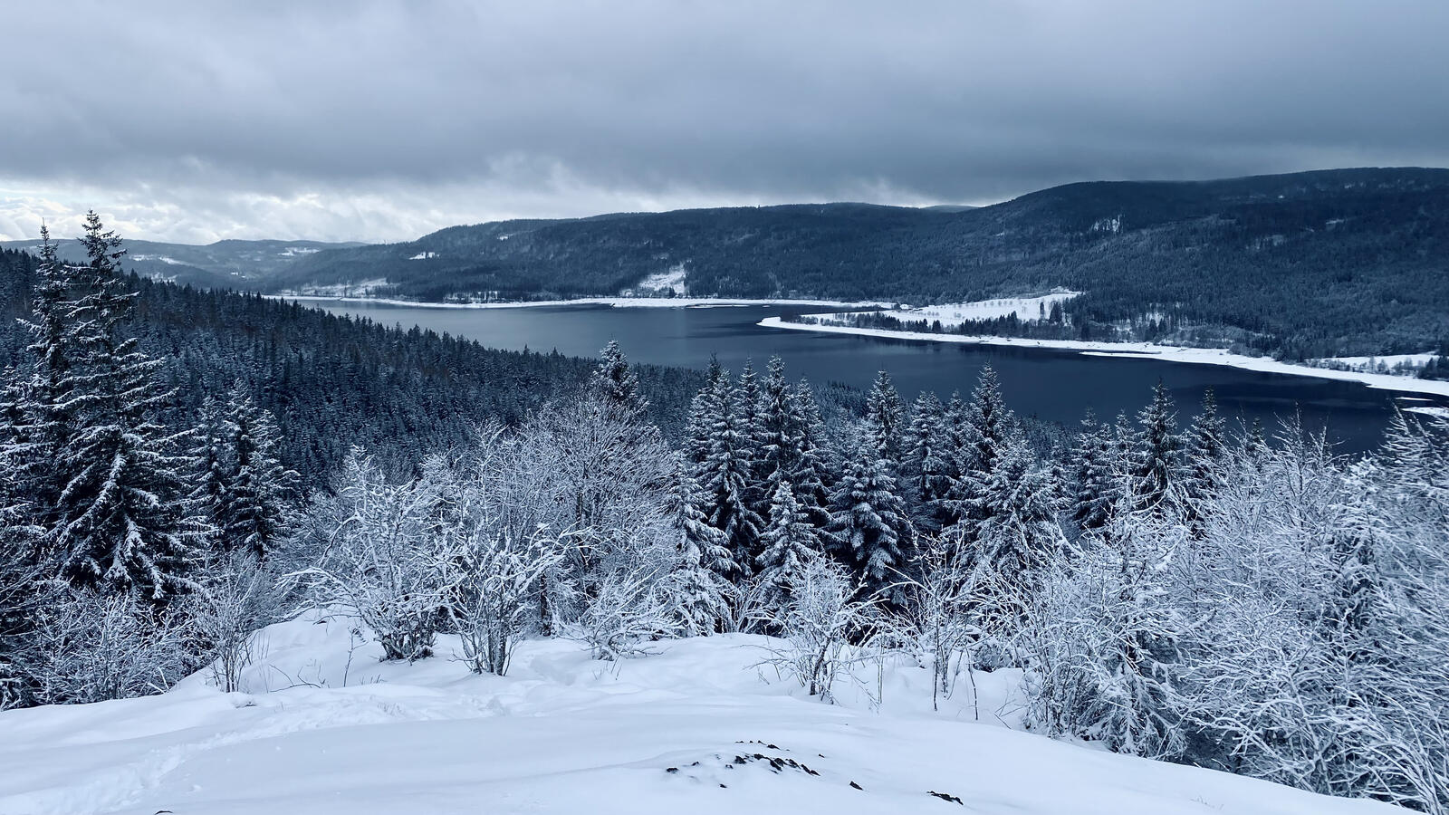 Бесплатное фото Спуск со снежного уклона к реке с деревьями