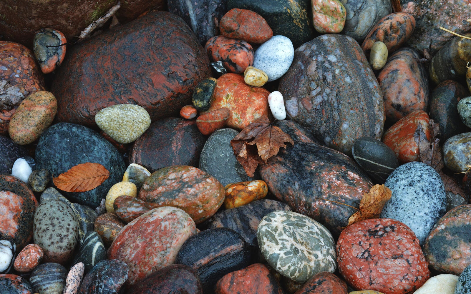 Free photo Multicolored patterned pebbles on the banks of rivers