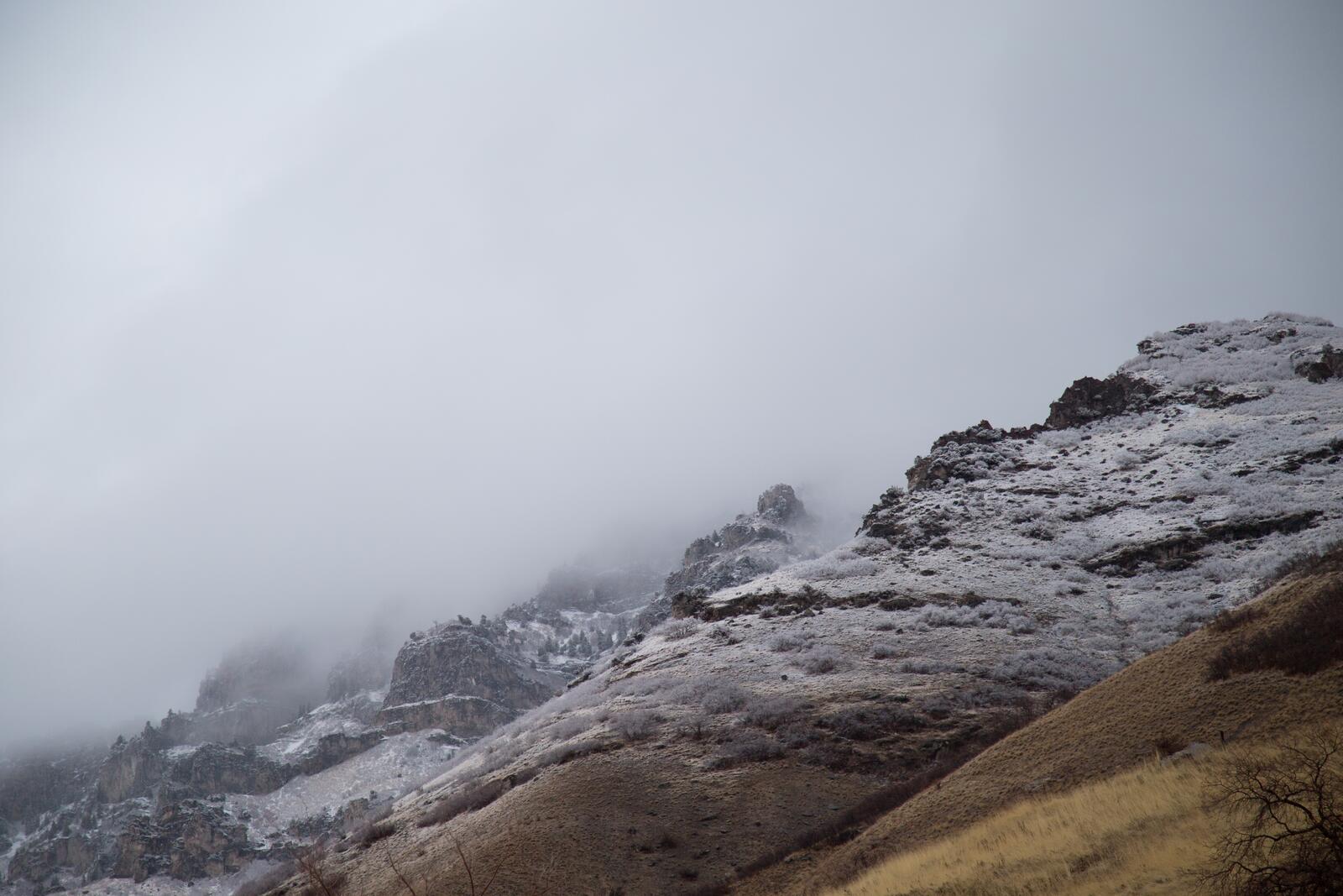 Бесплатное фото Туман и холод на высоте в горах