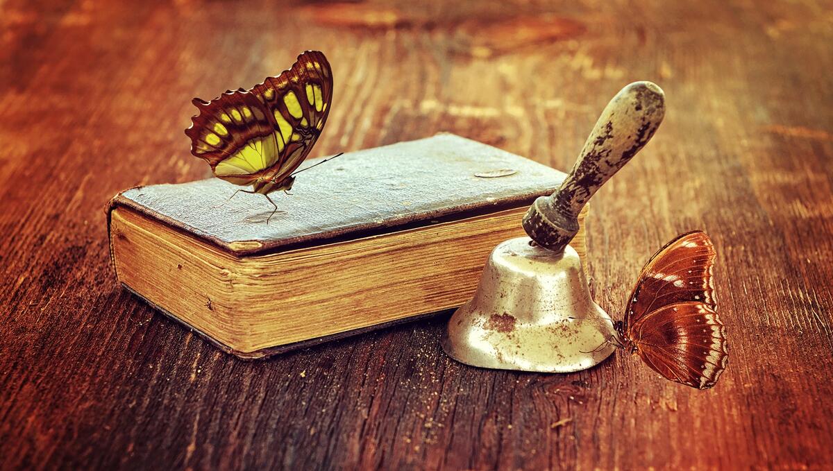Бабочки на старинной книге