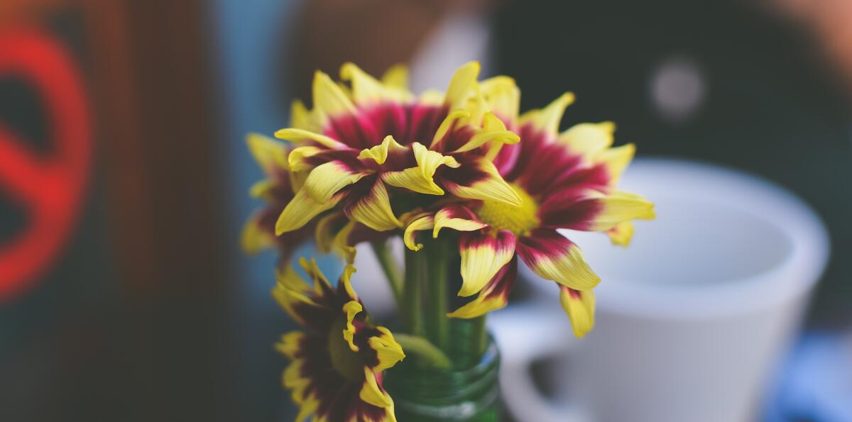 Желтые цветочки в вазе