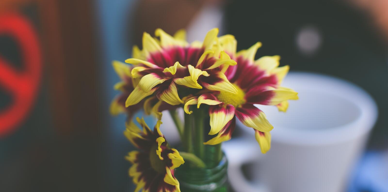 Free photo Yellow flowers in a vase