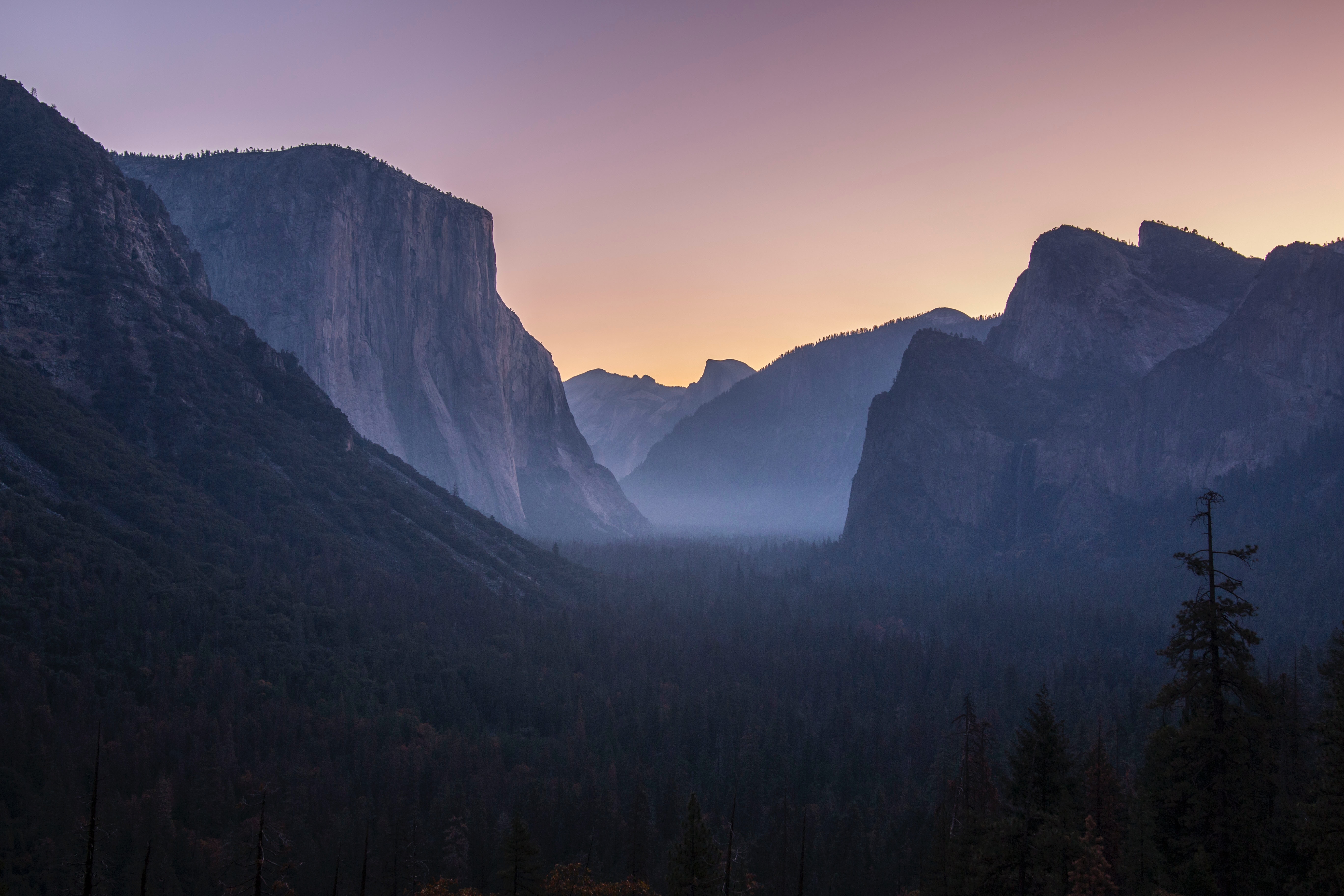 Free photo Fog in Yosemite Gorge