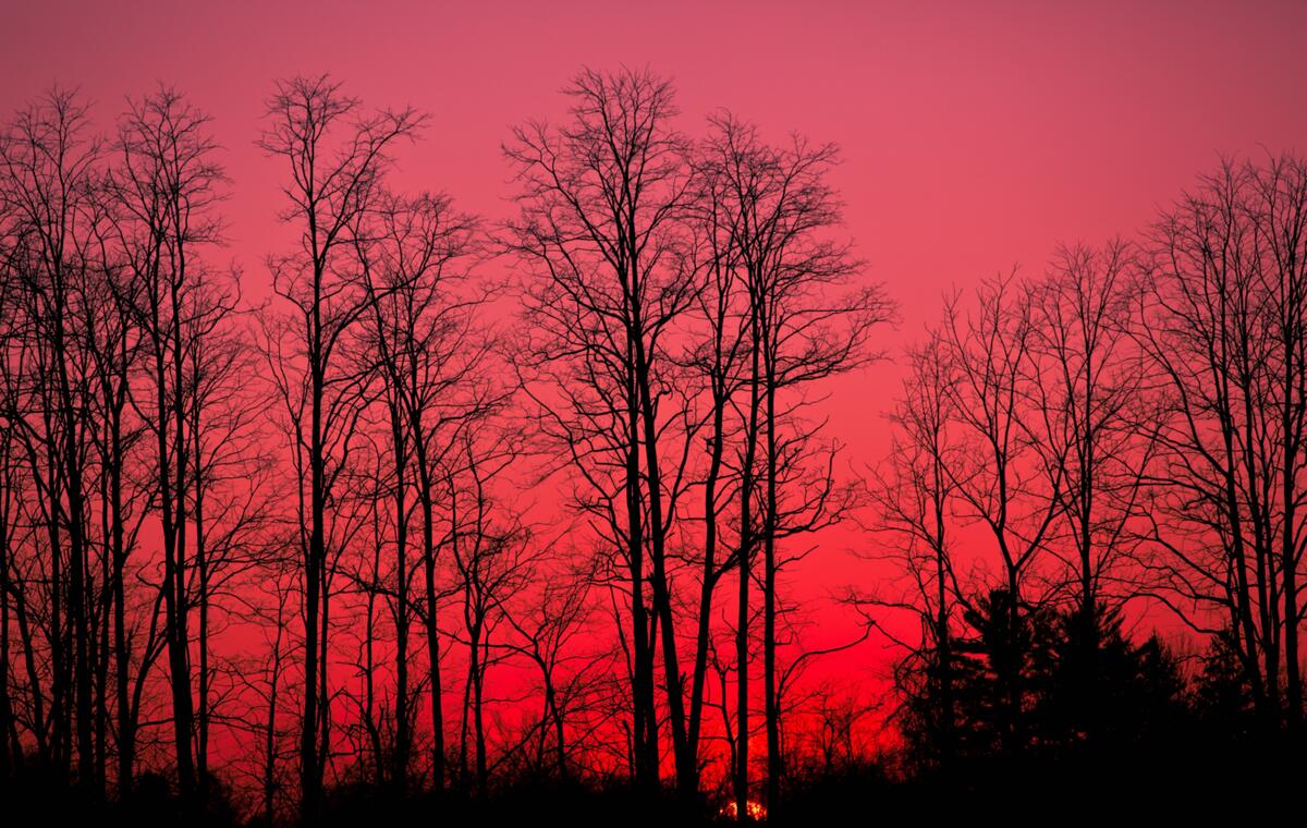 Красное небо во время заката