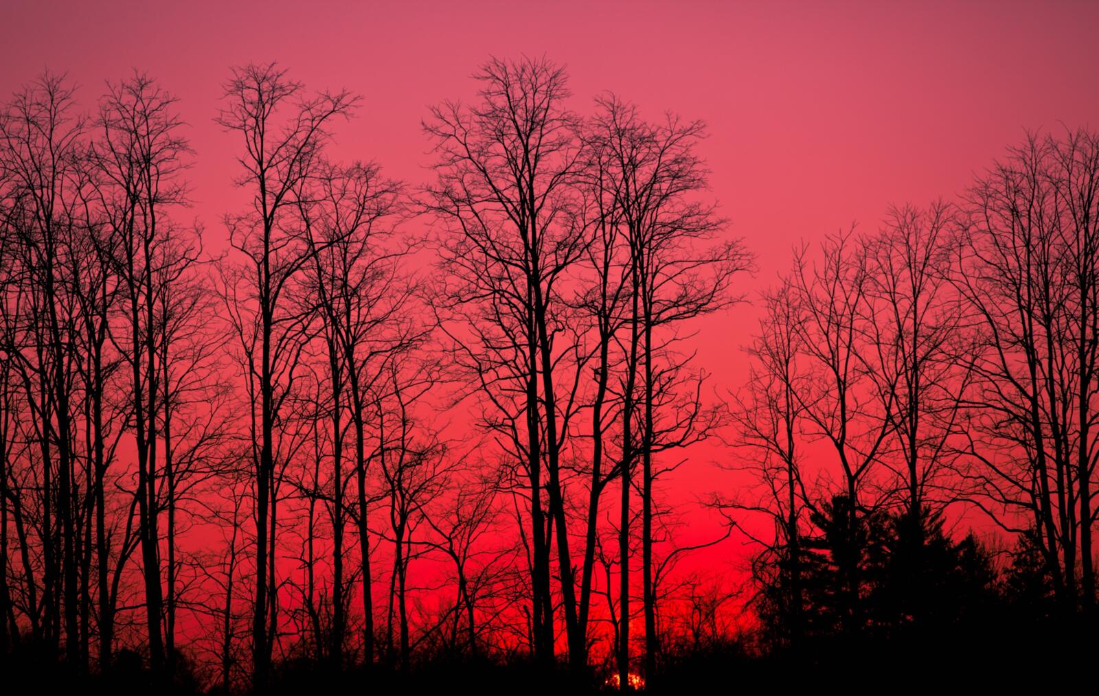 Бесплатное фото Красное небо во время заката