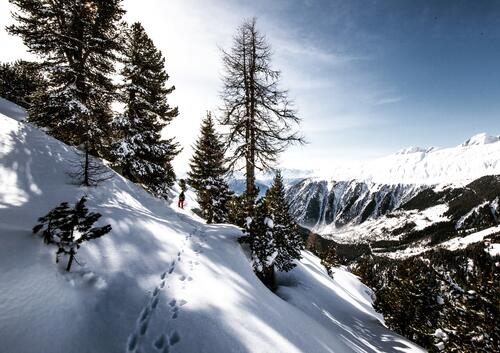 森林中为滑雪者开辟的一条雪路
