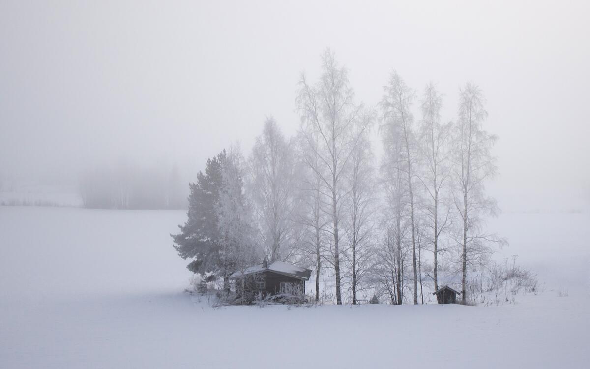 Снежное поле с одиноким домом