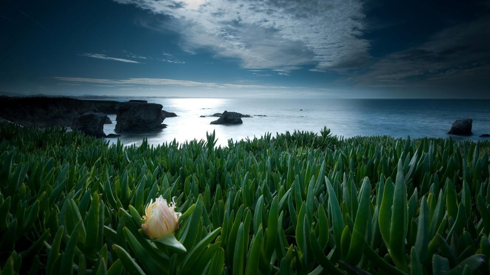 Бесплатное фото Картинка с видом на море с обрыва