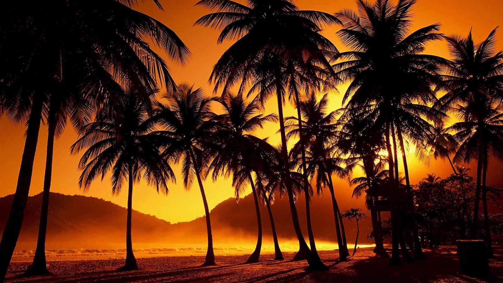 Бесплатное фото Закат в тропиках