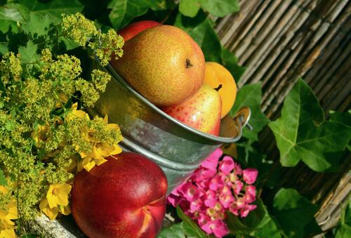 Fruit in a bucket