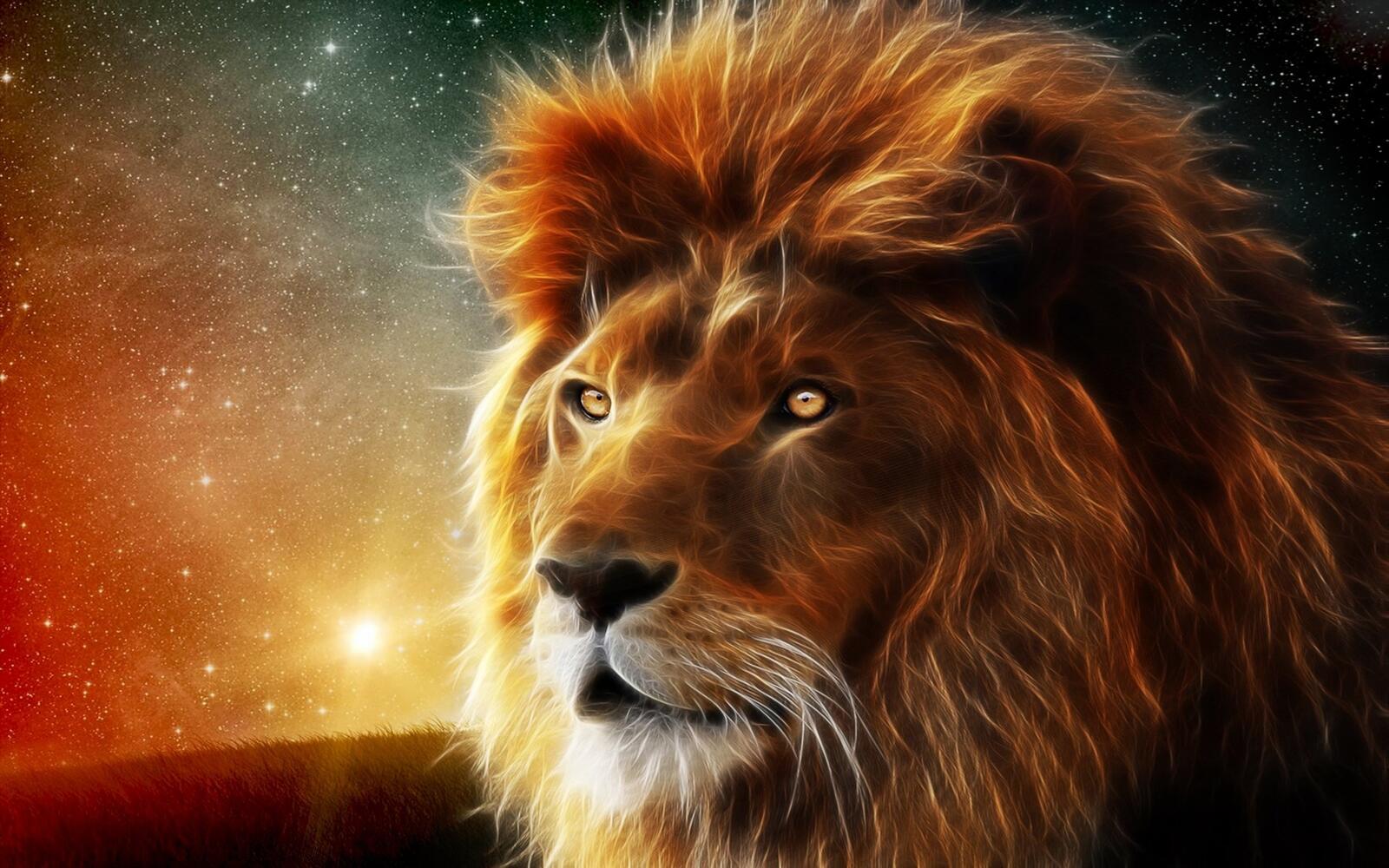 Free photo A drawing of a lion against a starry sky