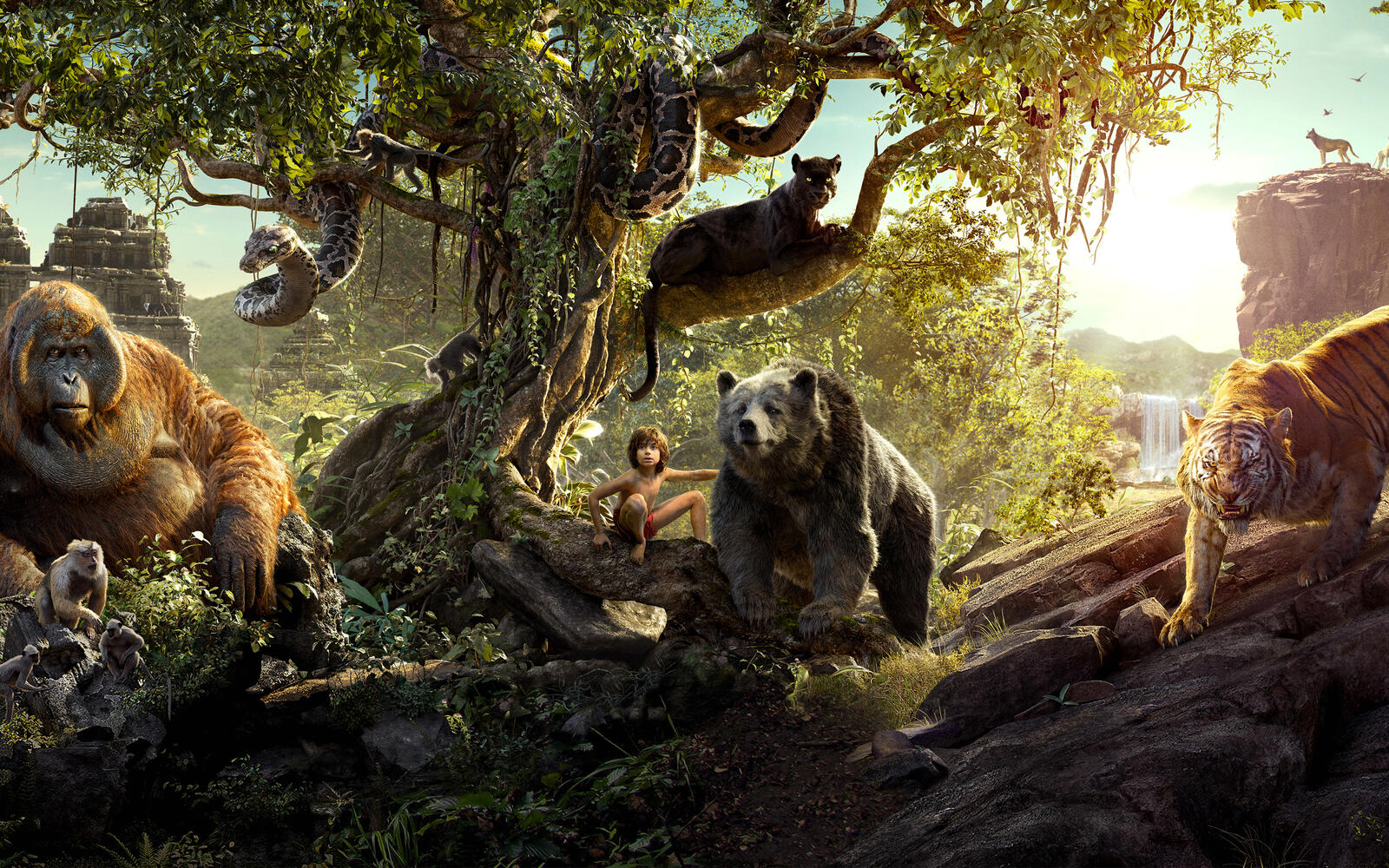 Wallpapers the jungle book mowgli movies on the desktop