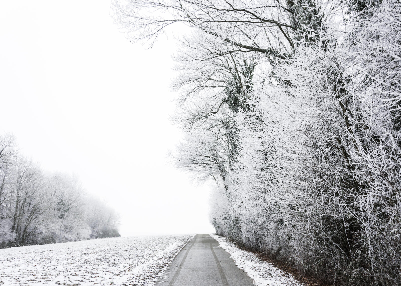 Бесплатное фото Морозная дорога на опушке леса