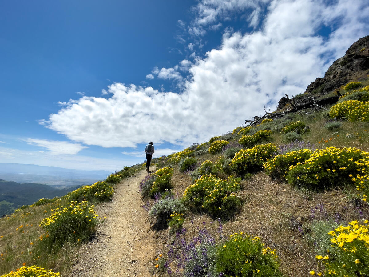 A man walks along a path leading to the top of a mountain