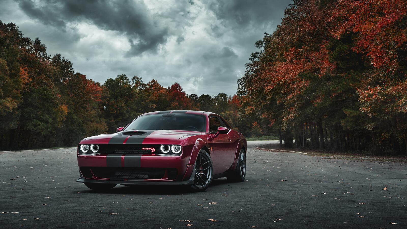Free photo A burgundy Dodge Challenger with black stripes.