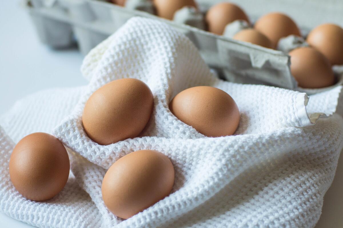 Chicken eggs lay on a white towel
