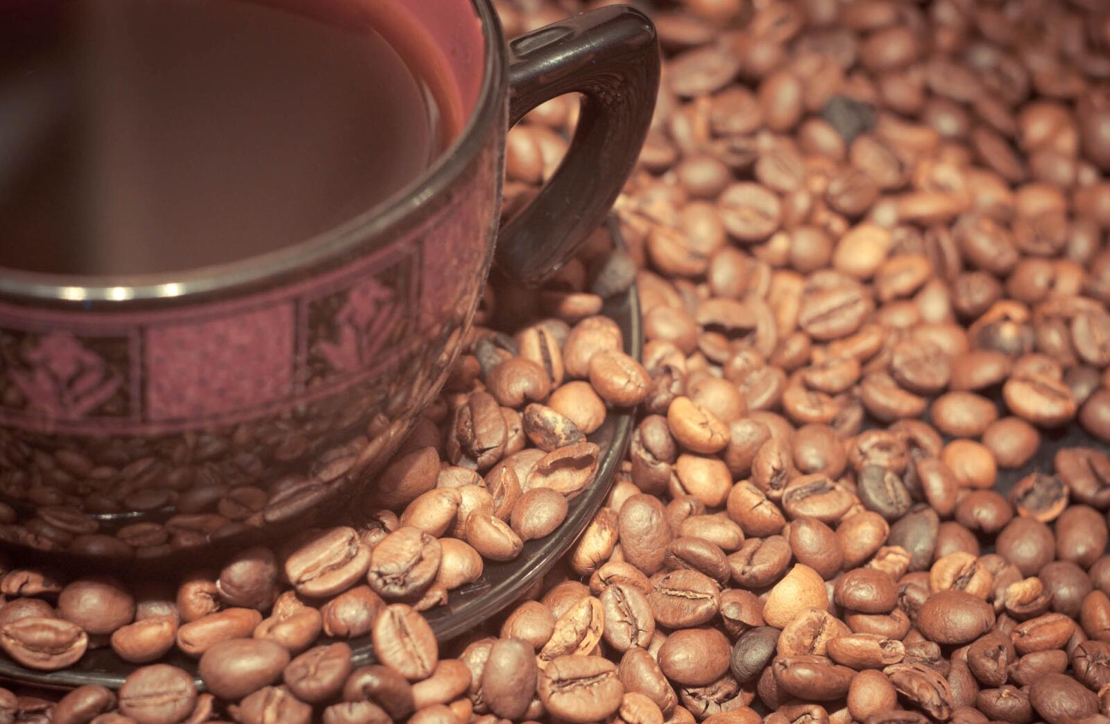 Бесплатное фото Кофейные зерна с чашкой кофе