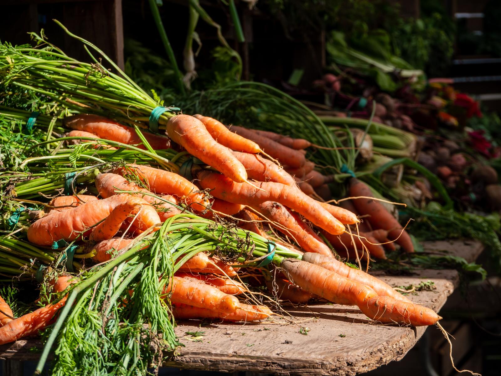 Бесплатное фото Большая куча свежей моркови