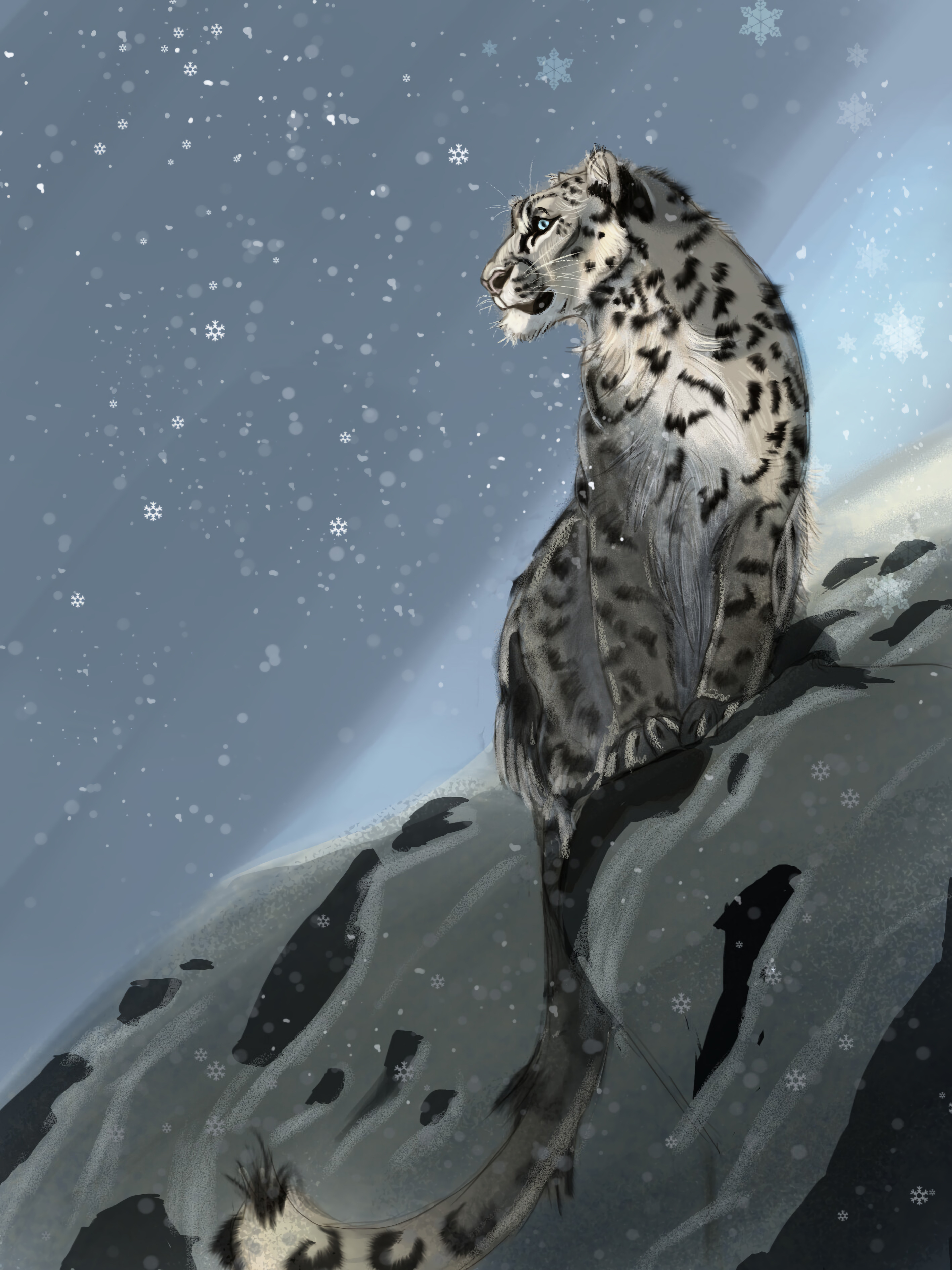 Wallpapers wallpaper snow leopard looking away snowflakes on the desktop