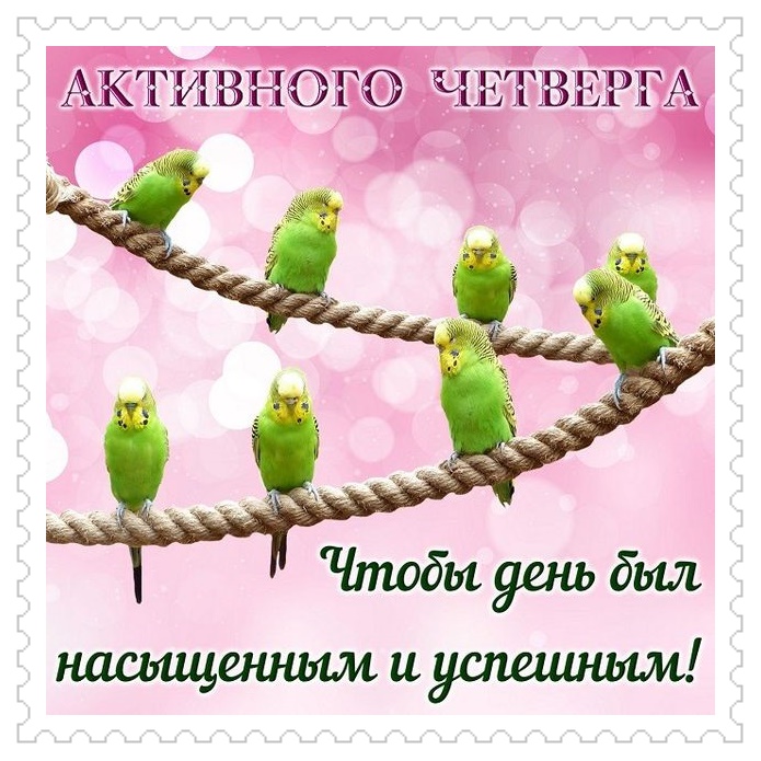 Бесплатная открытка Активного четверга с зелеными попугаями