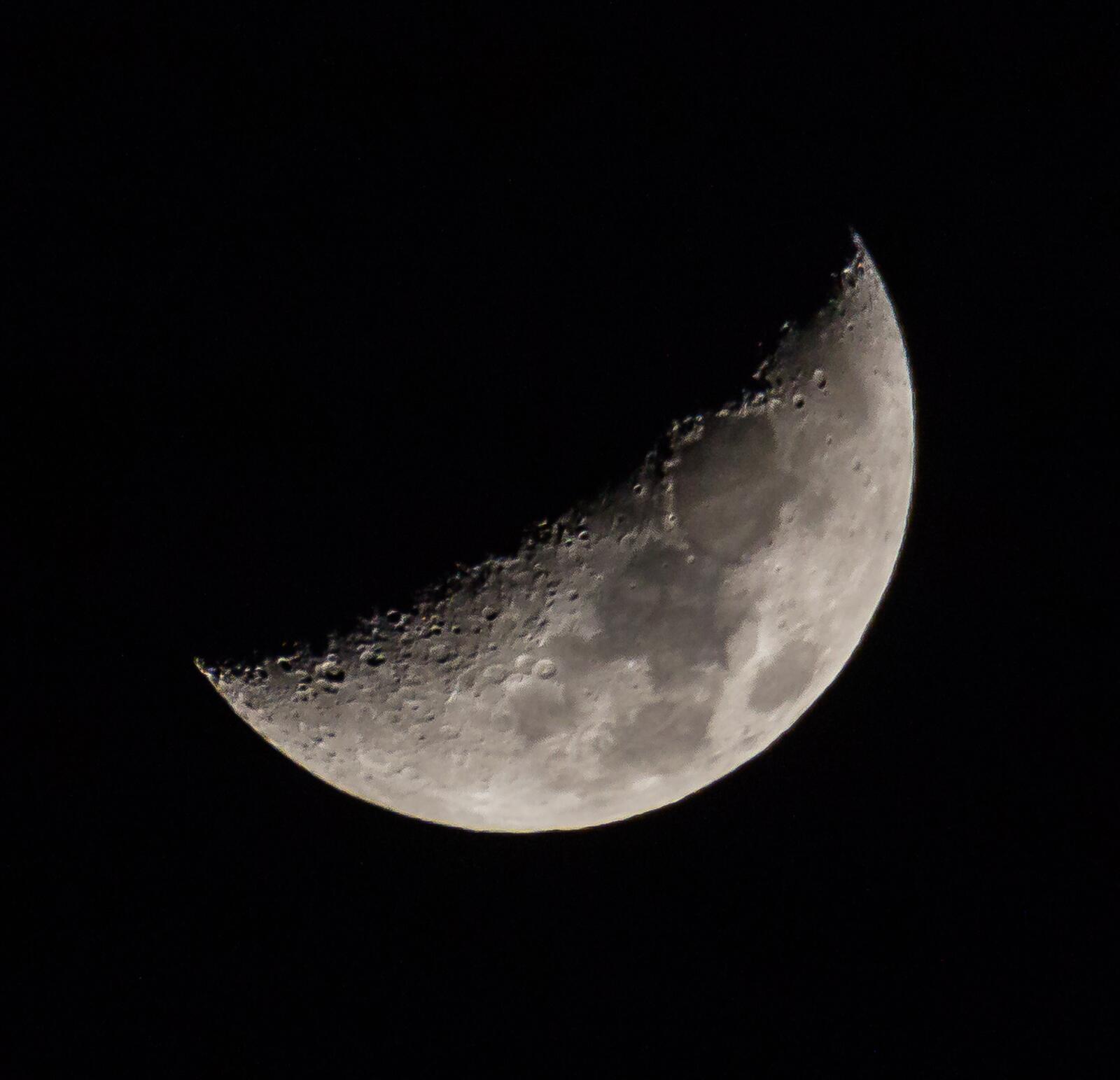 免费照片黑色背景上的大月亮照片