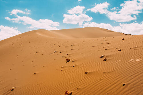 The Sahara desert with hills of sand