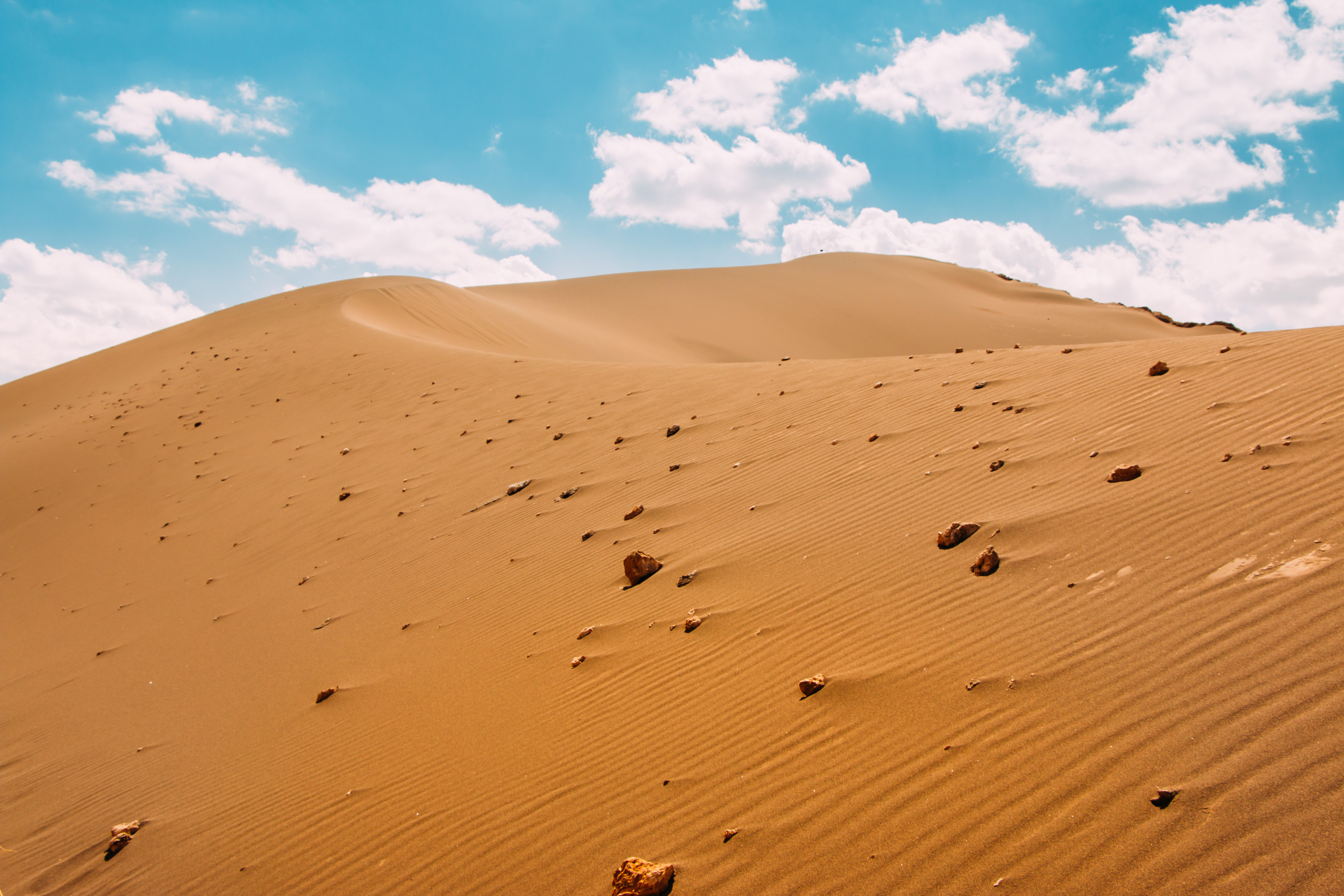 Free photo The Sahara desert with hills of sand