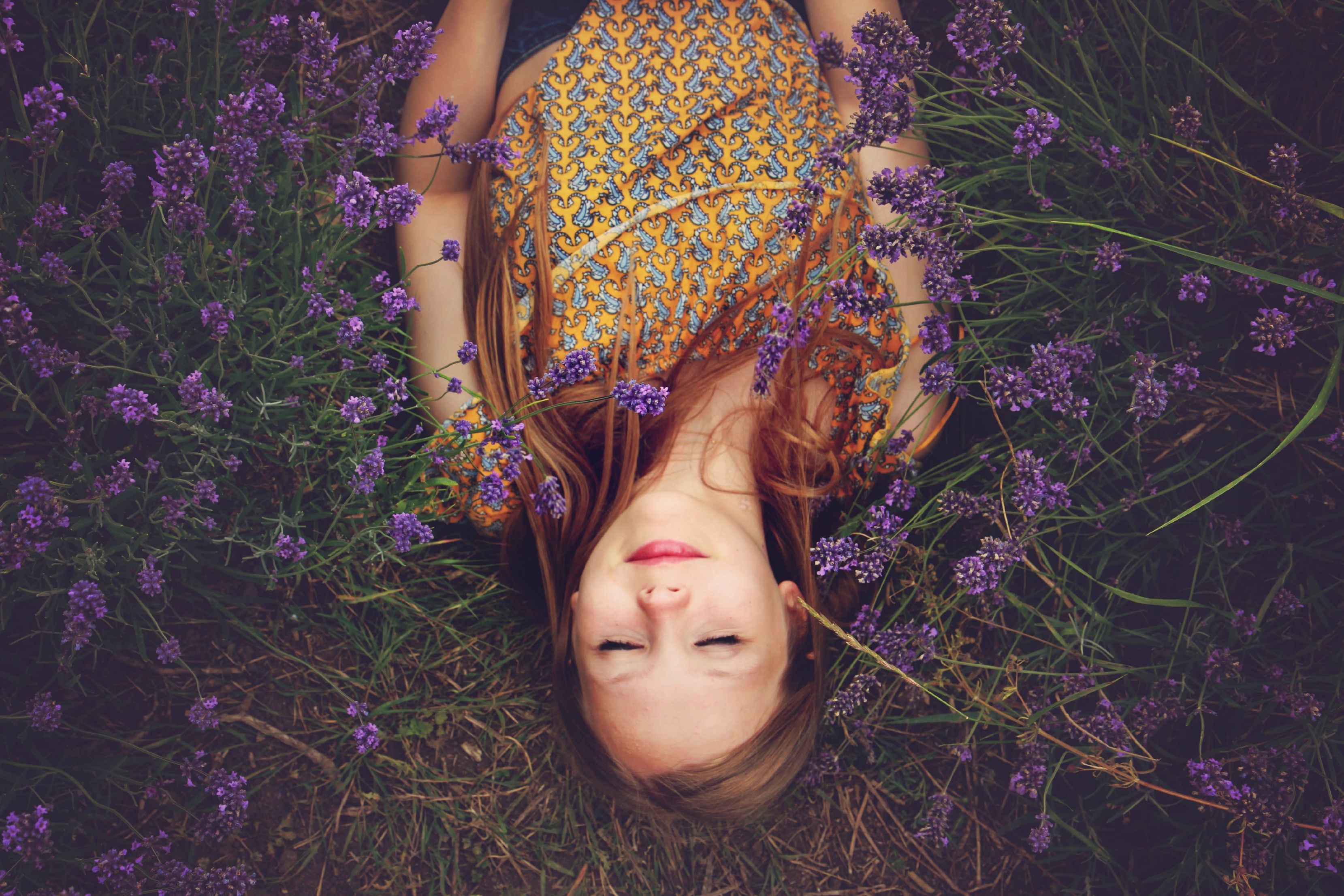 免费照片一个女孩躺在有紫色花朵的田野上