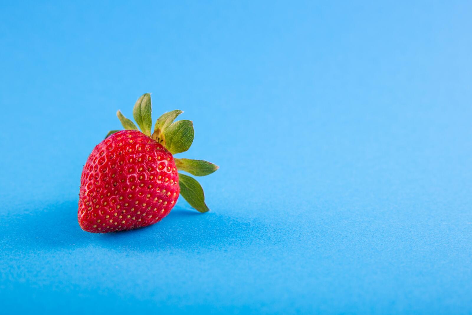 免费照片蓝色背景上的草莓