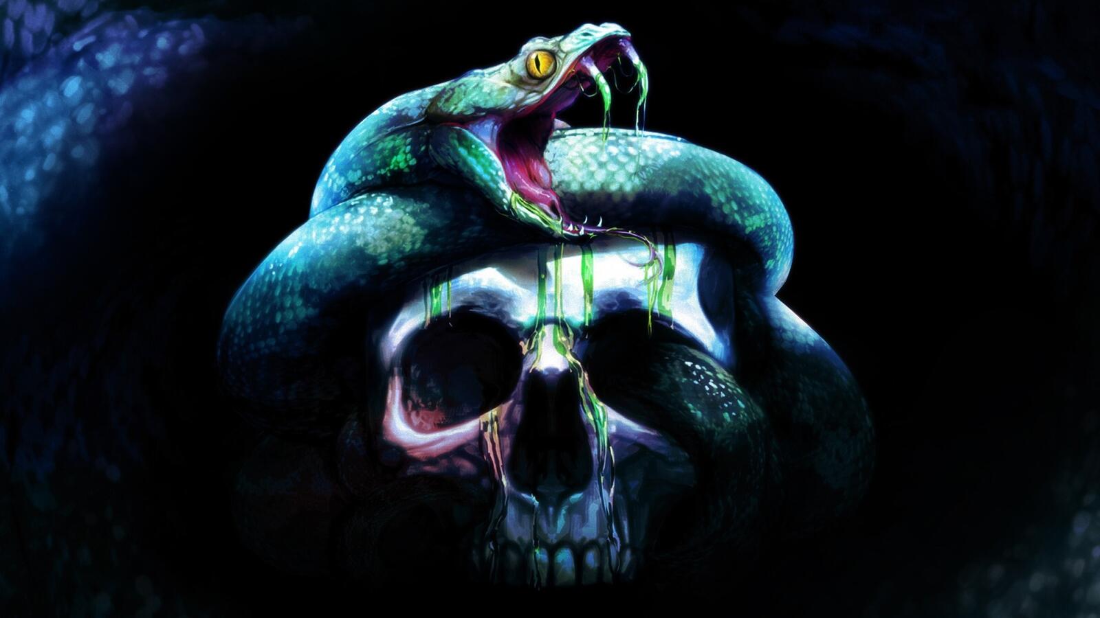 Бесплатное фото Рисунок змеи на черепе